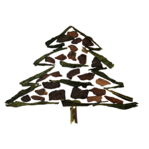 santas-cookies-o-dromos-tou tsagiou